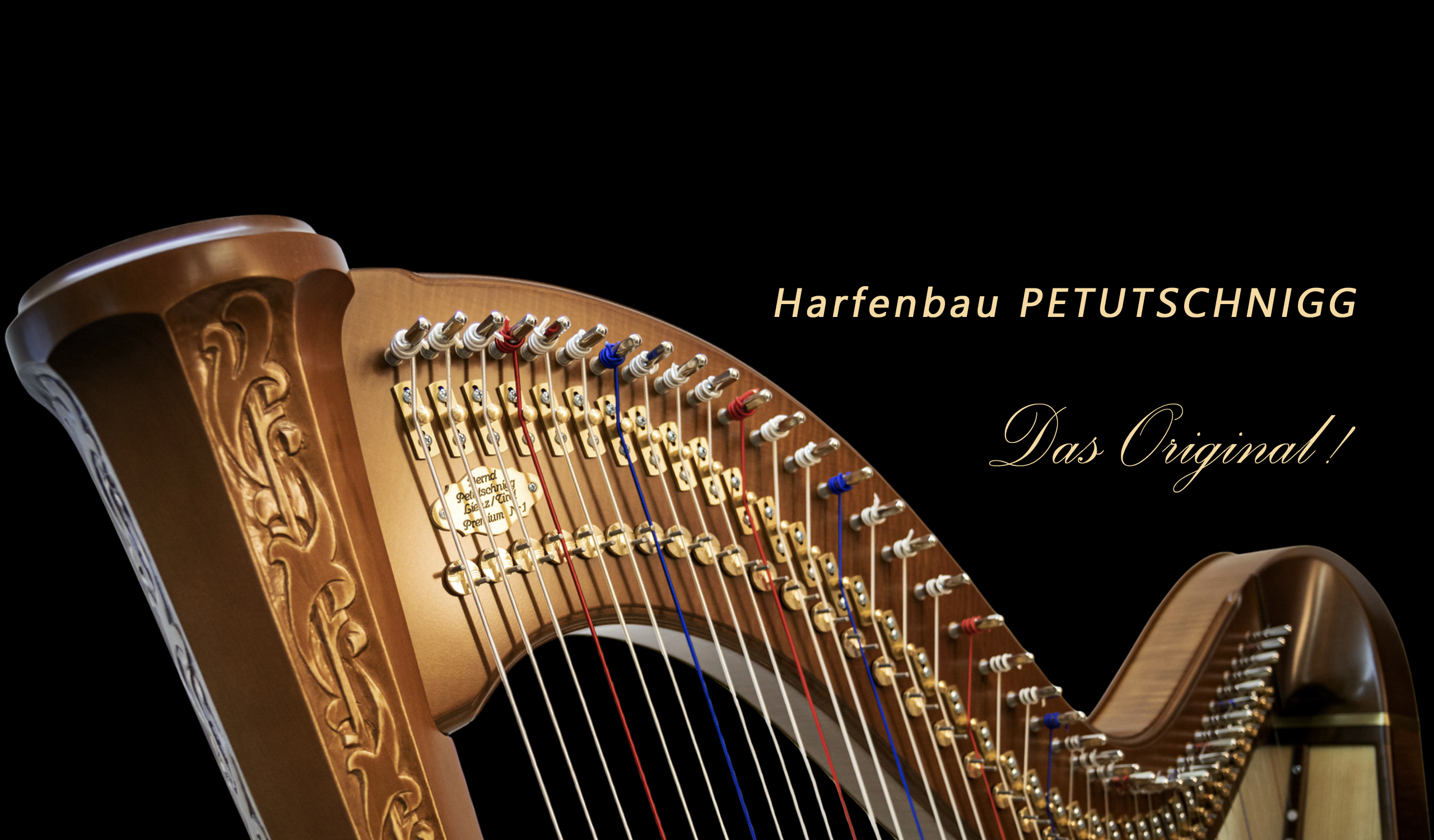 hier sehen sie eine Petutschnigg Harfe modell Limited Edition Nr.1